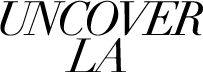 Undercover LA Logo